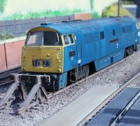 A rather weather-worn D1023 'Western Fusilier' at rest